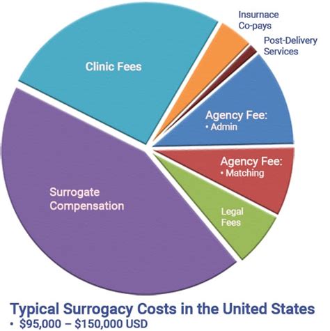 How Much Does Surrogacy Cost in USA